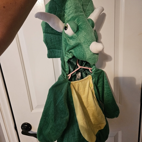 Dinosaur costume - Picture 5 of 5